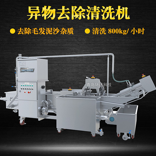 蔬菜清洗機(jī)，氣泡清洗，清洗800kg小時(shí)