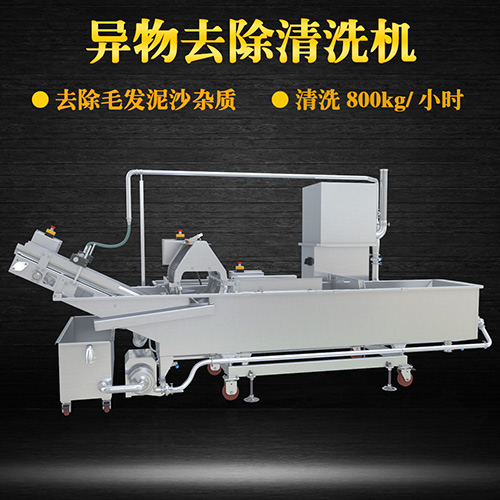 蔬菜氣泡清洗機(jī)，氣泡清洗，清洗800kg小時(shí)
